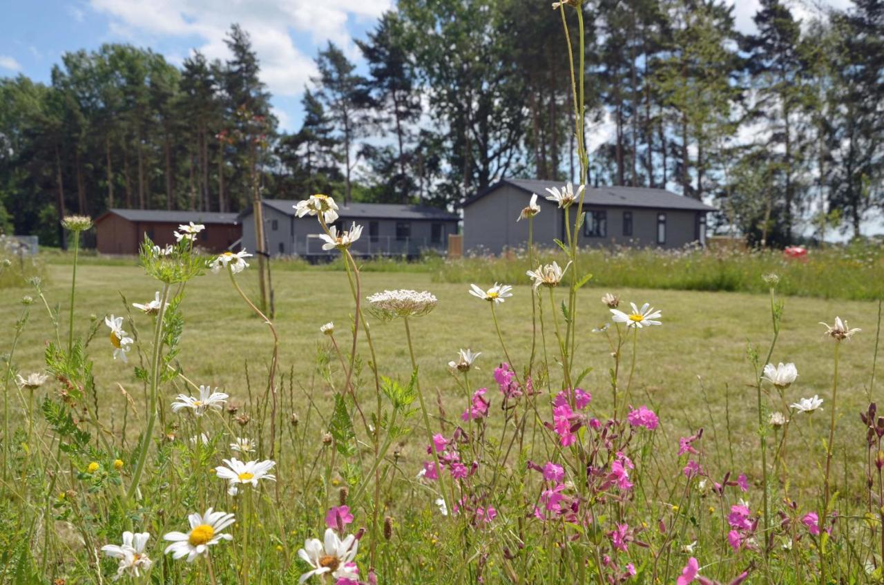 Hollicarrs Holiday Park - Hares Leap Riccall 外观 照片