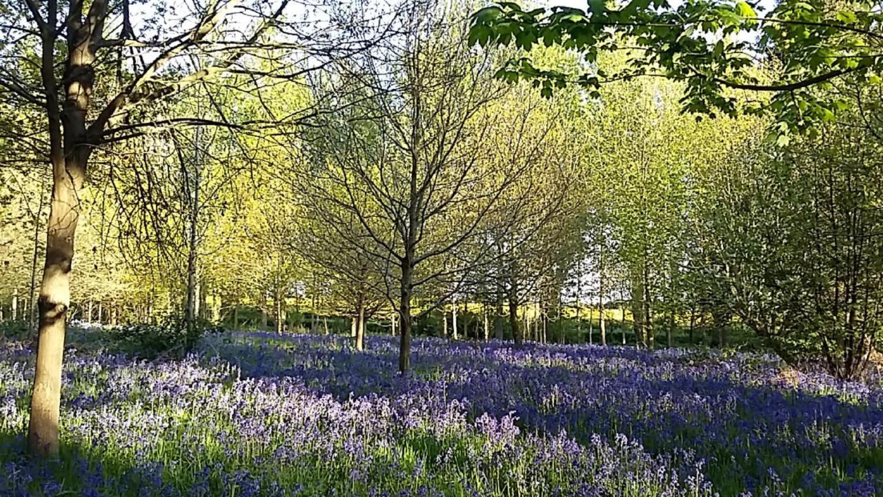 Hollicarrs Holiday Park - Hares Leap Riccall 外观 照片