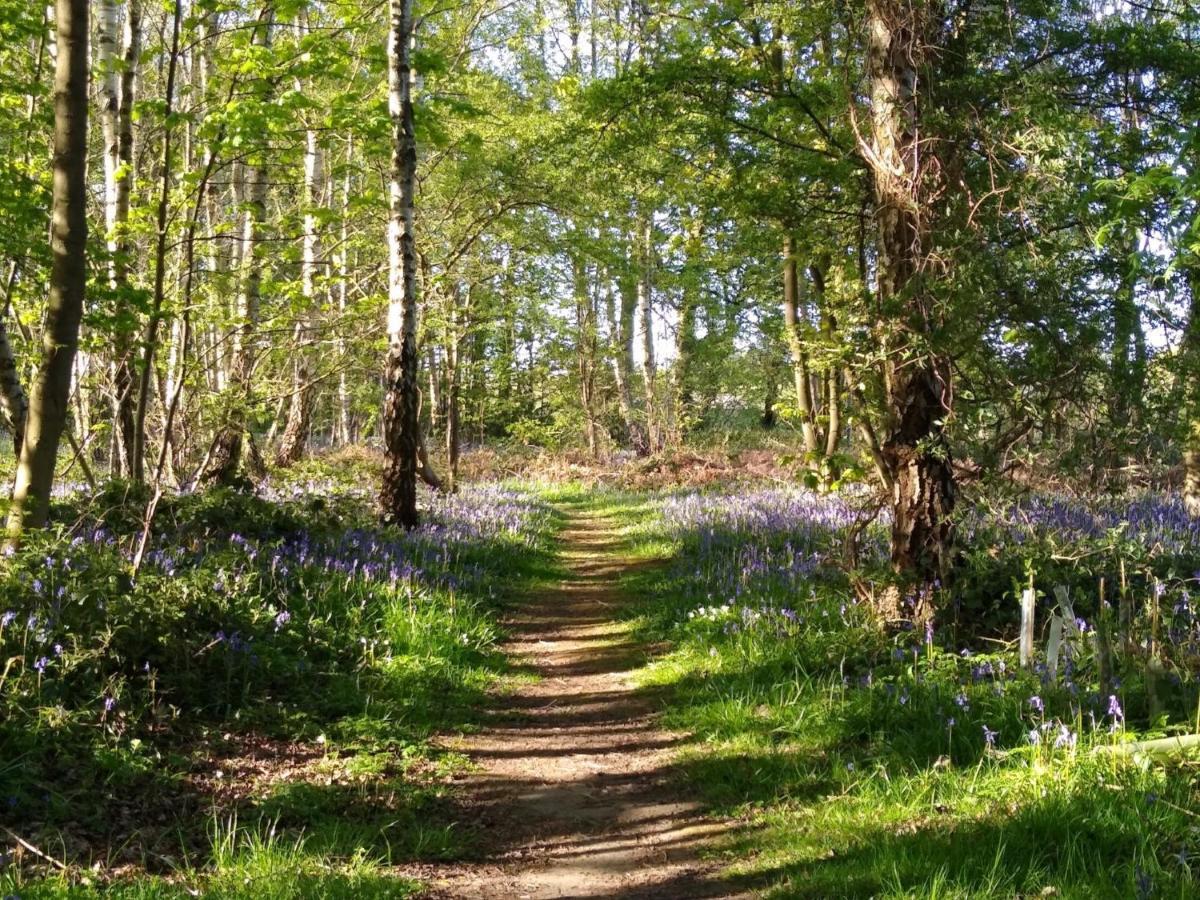 Hollicarrs Holiday Park - Hares Leap Riccall 外观 照片